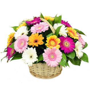 Цветы в корзинке с герберами
